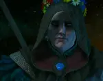 Avallac'h hooded | Pictures from Witcher 3 - I just felt like uploading pictures of Avallac'h today. This page serves no other purpose. 
