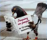 Find out how 14% of Old Orchard Beach's population came to read my site daily.