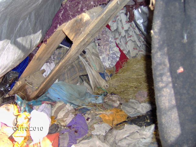 inside of tent tarp 2010